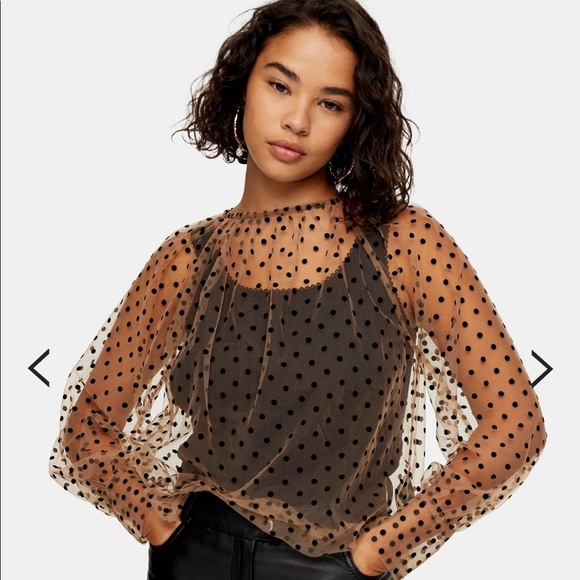 topshop sheer top